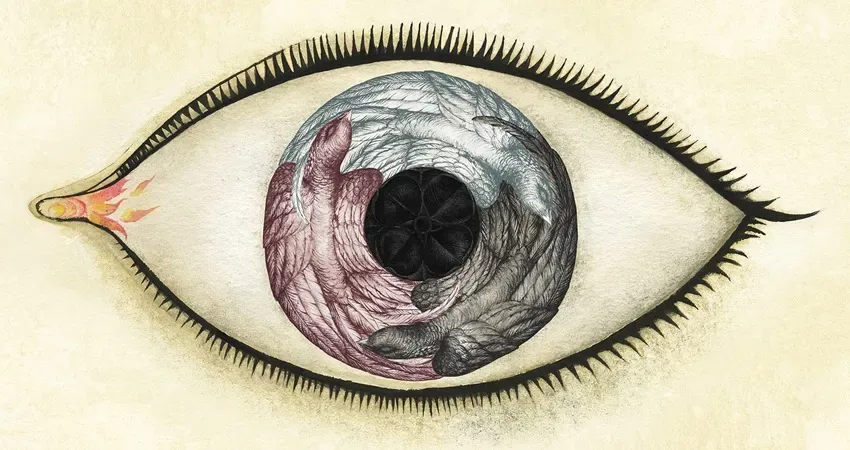 Ana Juan: Wunderkammer
