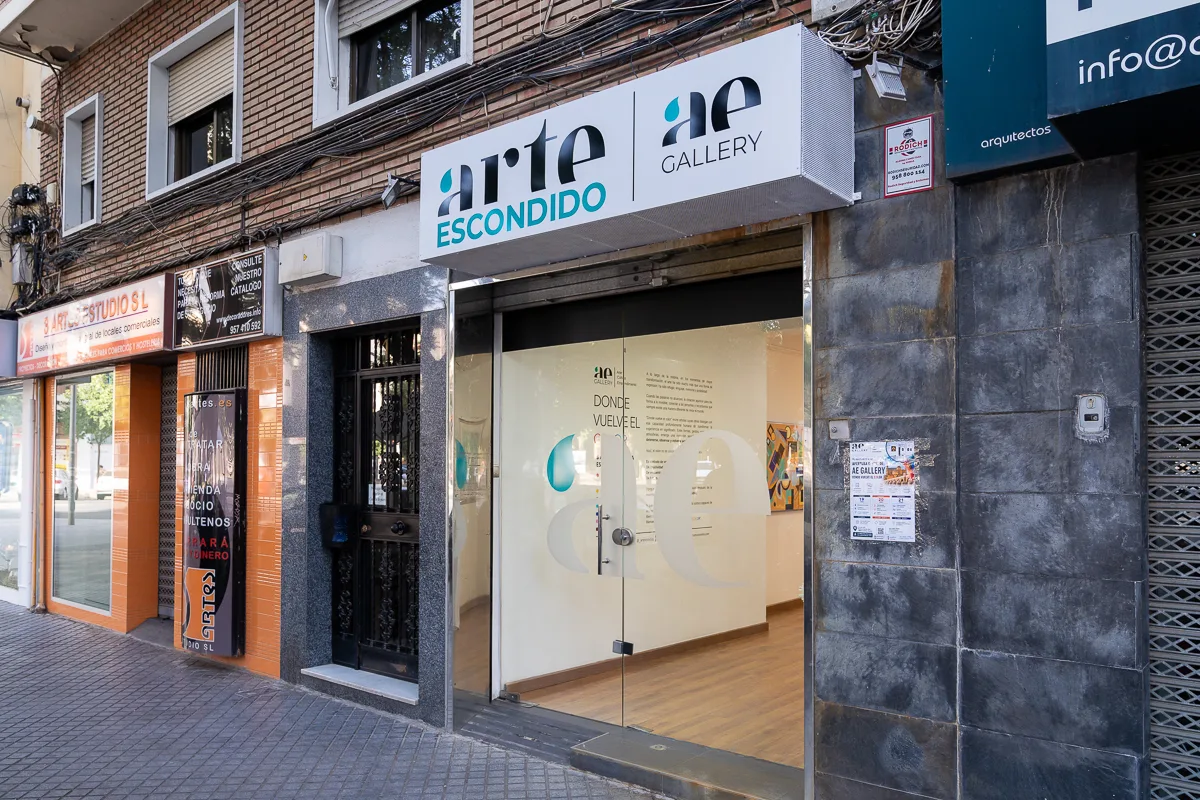 AE Gallery - Fotografía 4