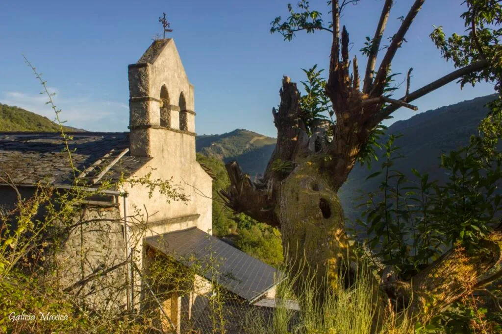 Asociación Veciñal e Cultural Casco Vello de Vigo - Fotografía 1