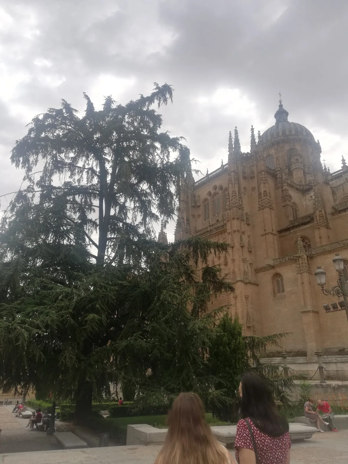 Ateneo de Salamanca - Fotografía 4