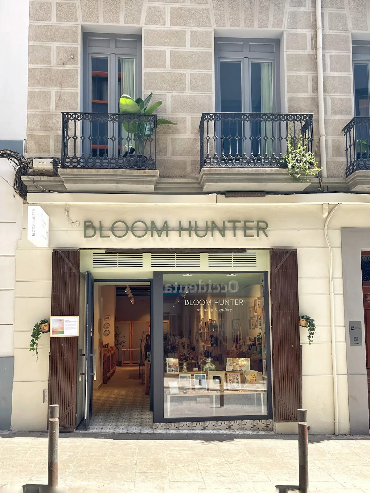 Bloom Hunter - Fotografía 5