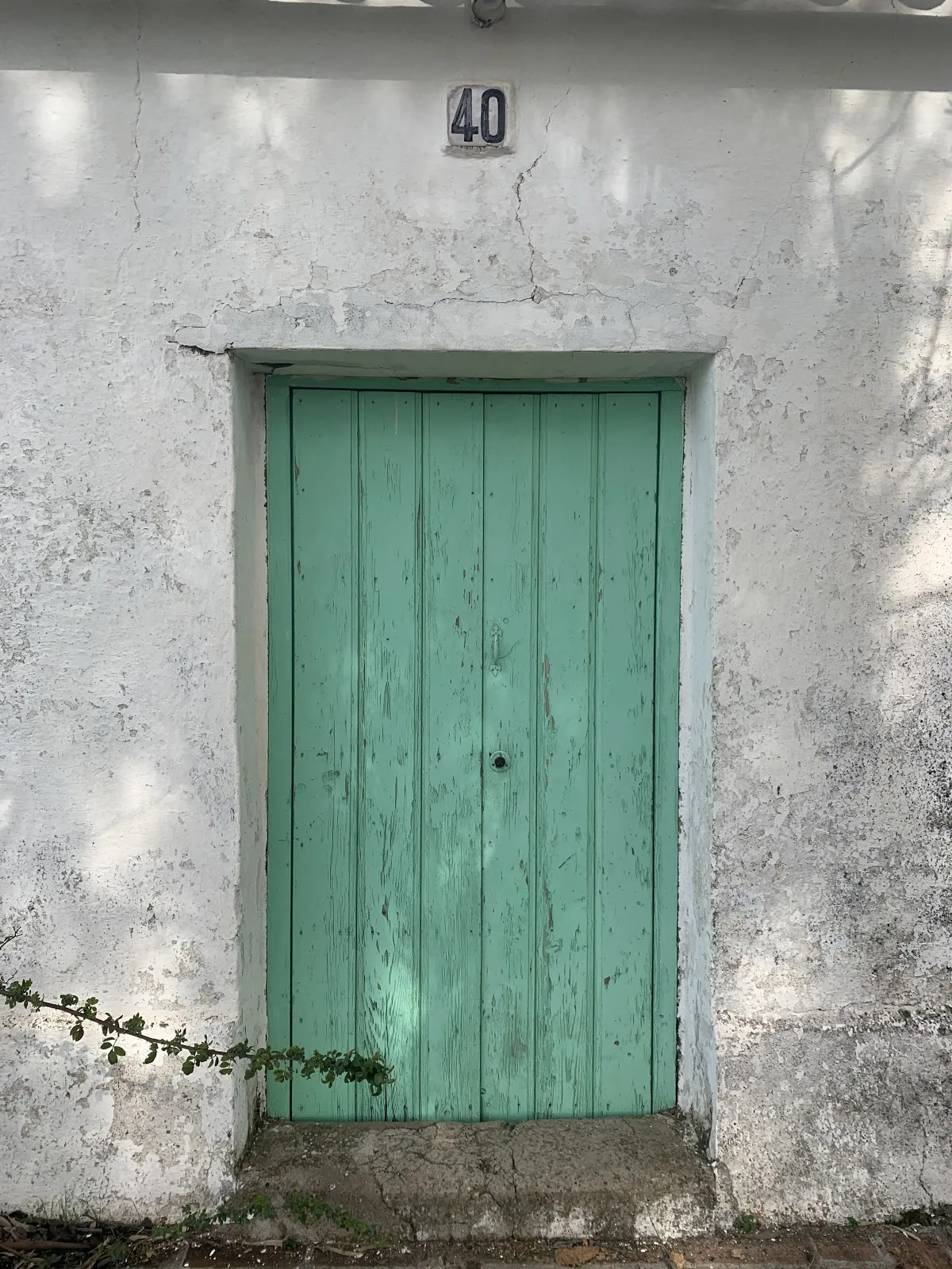 Bodega Colonias Galeón