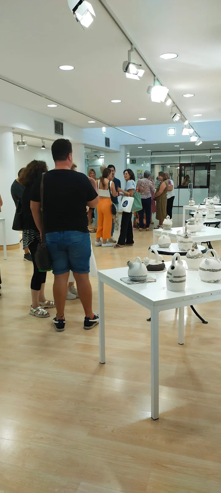 Centro Municipal de El Carmen - Fotografía 4