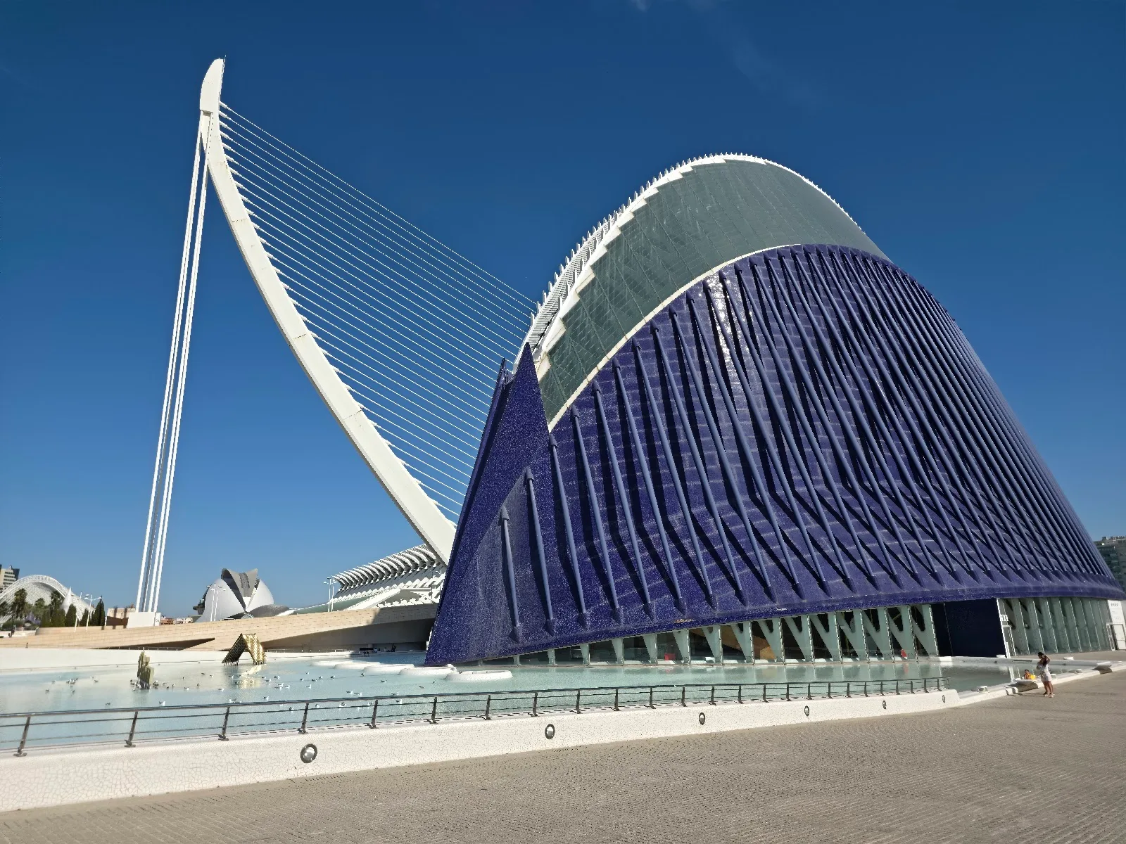 Ciudad de las Artes y las Ciencias - Fotografía 1