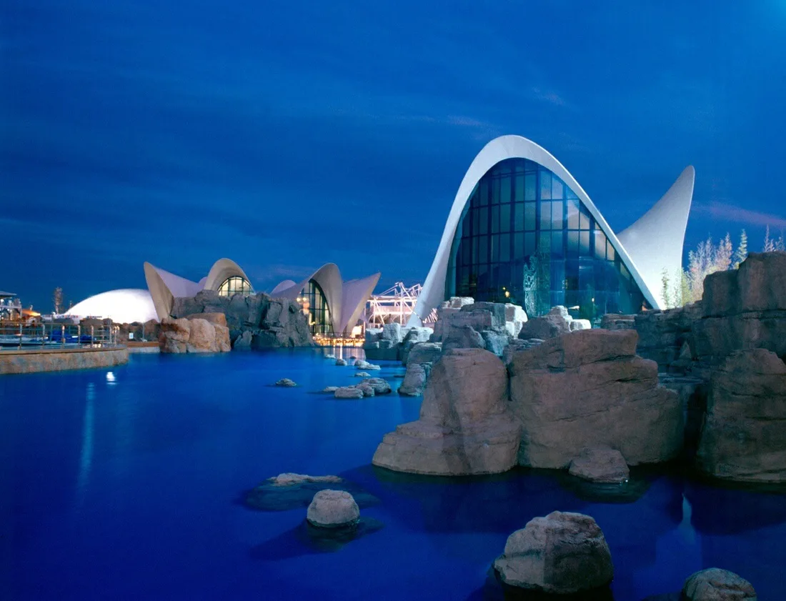 Ciudad de las Artes y las Ciencias - Fotografía 3