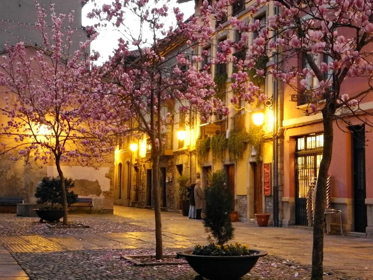 ESPACIO OVALO