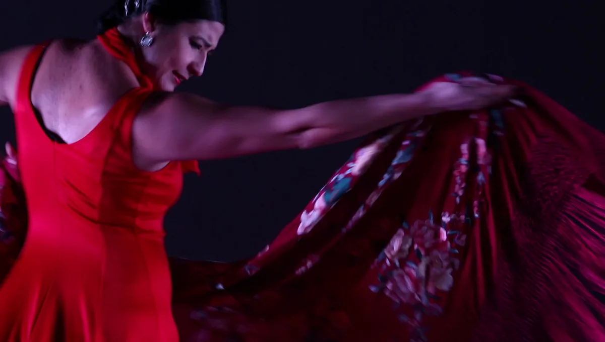 Flamenco y cultura