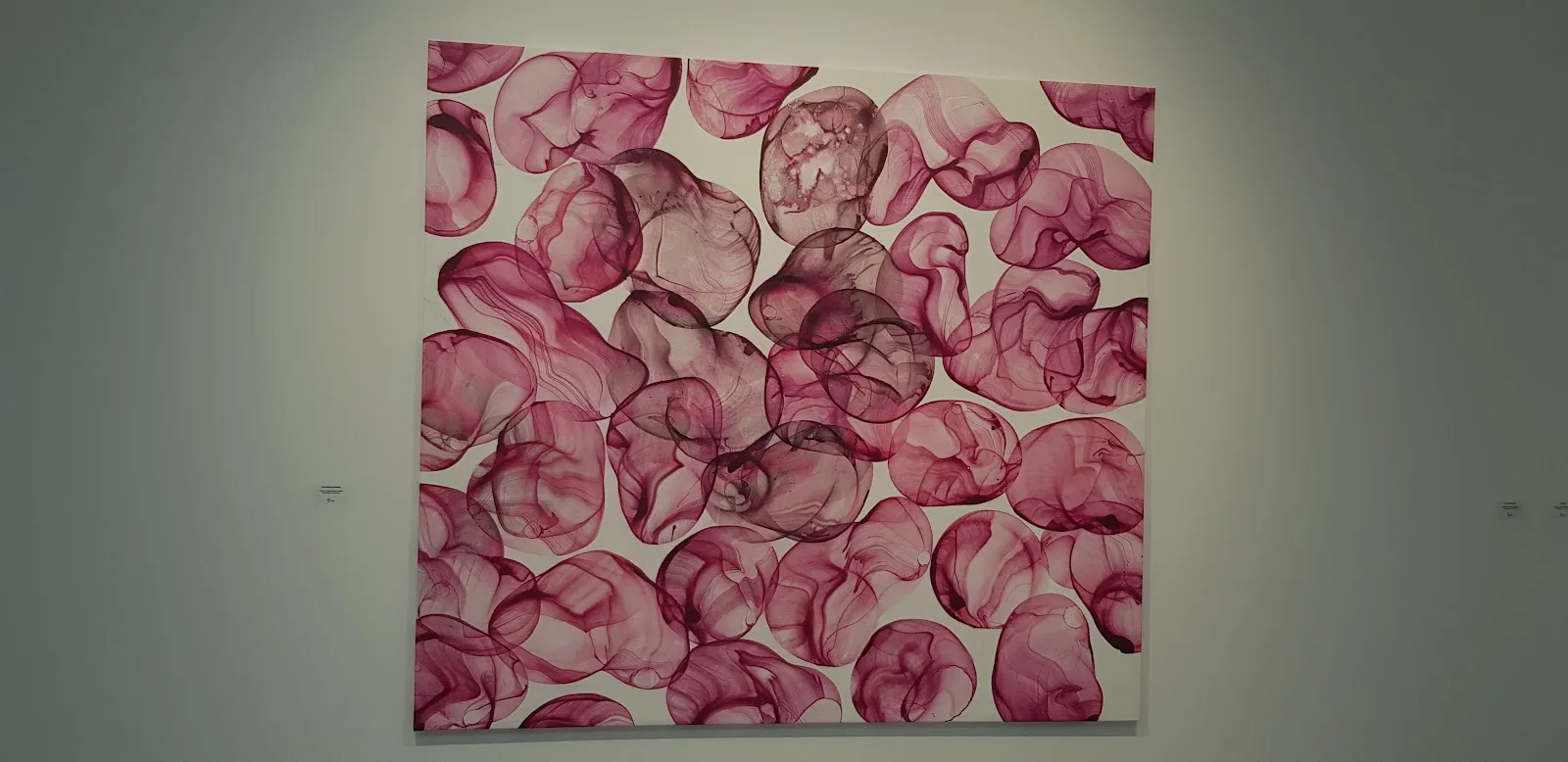 Fundación canaria de arte Tranche - Fotografía 5