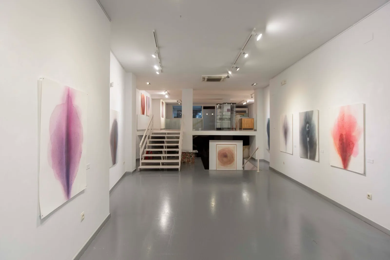 Galería de arte contemporáneo Alba Cabrera - Fotografía 1