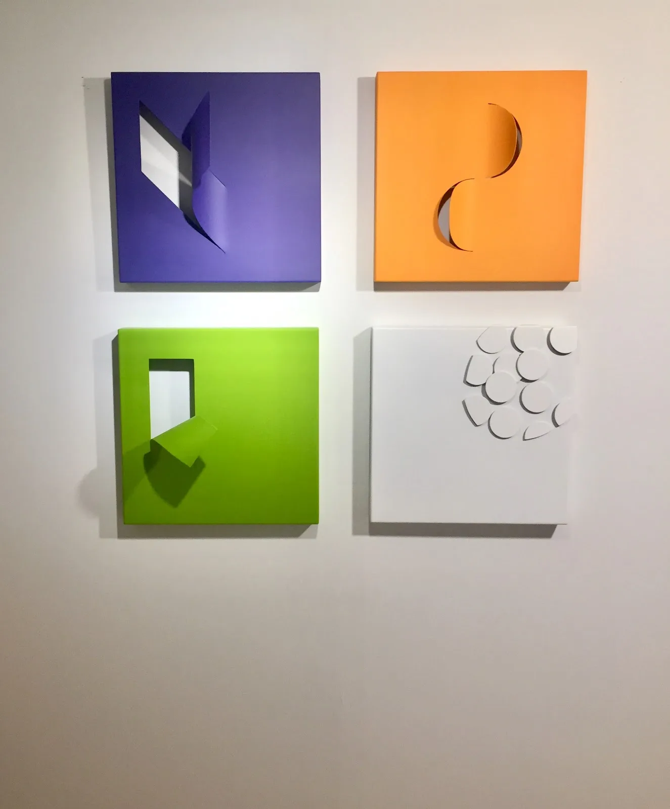 Galería de arte contemporáneo Alba Cabrera - Fotografía 5