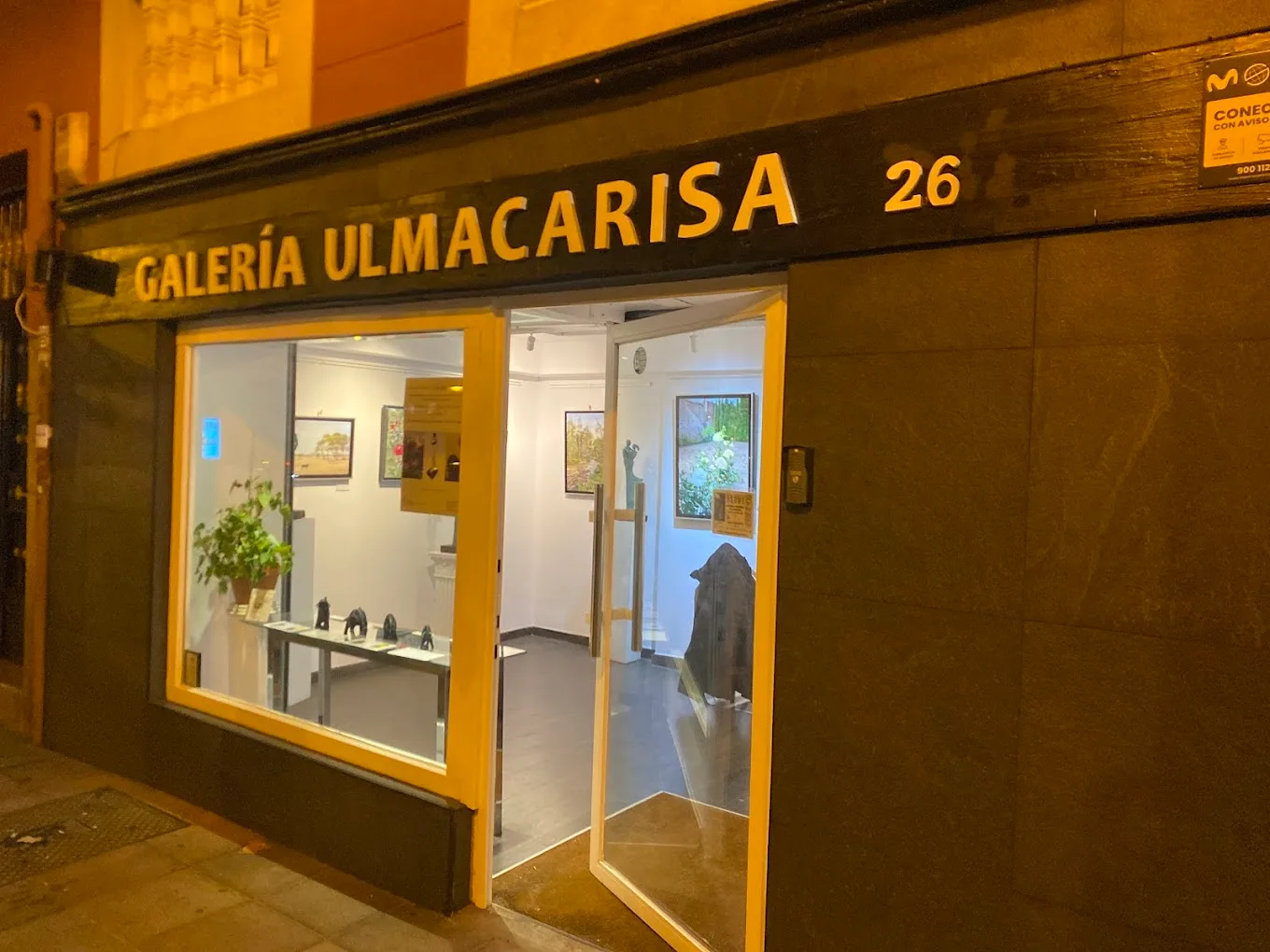 Galería de Arte Ulmacarisa