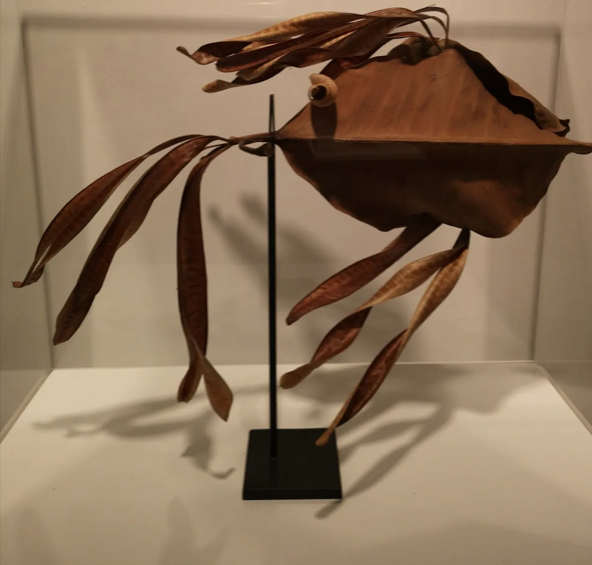 Galería Materna y Herencia