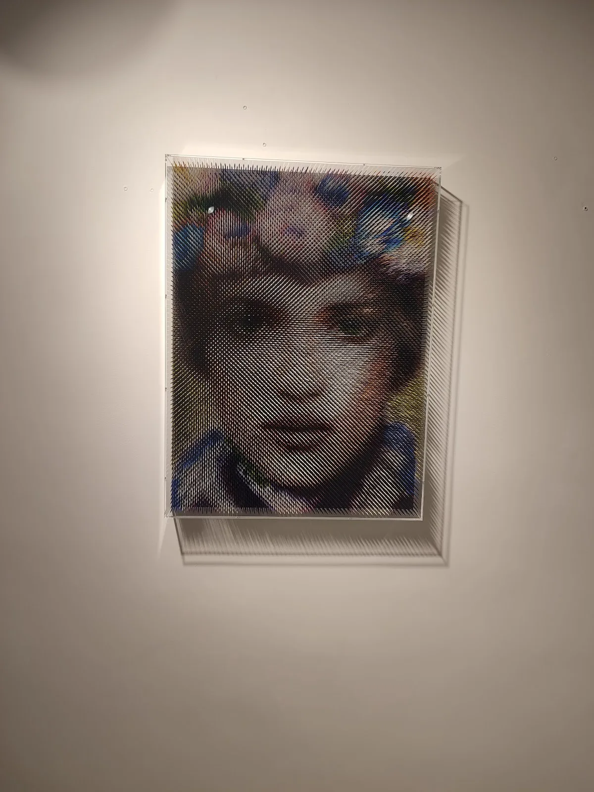 Galería Simón Nolte - Fotografía 1