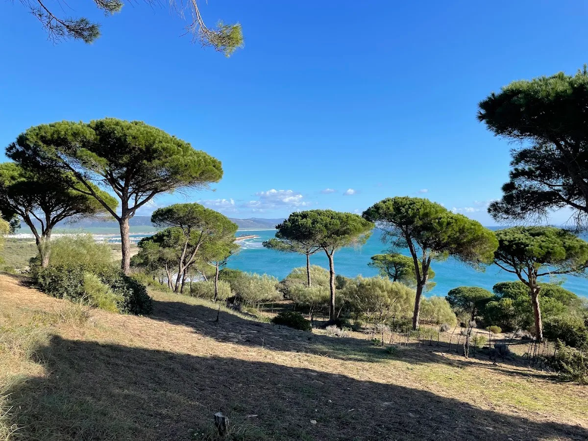 La Breña y Marismas del Barbate Natural Park