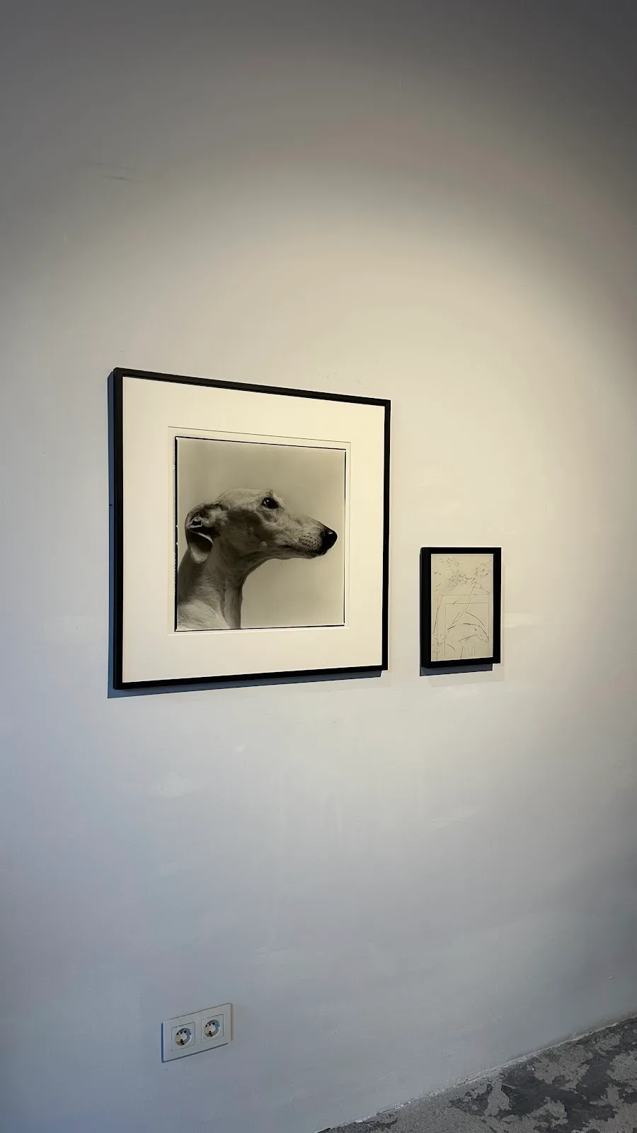 MÄA galería - Fotografía 1