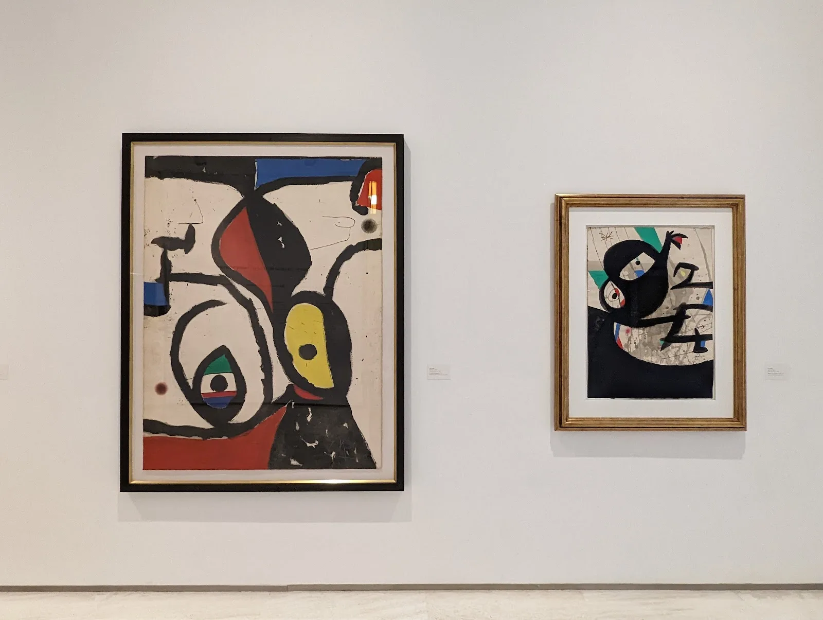 MACA (Museo de Arte Contemporáneo de Alicante) - Fotografía 2