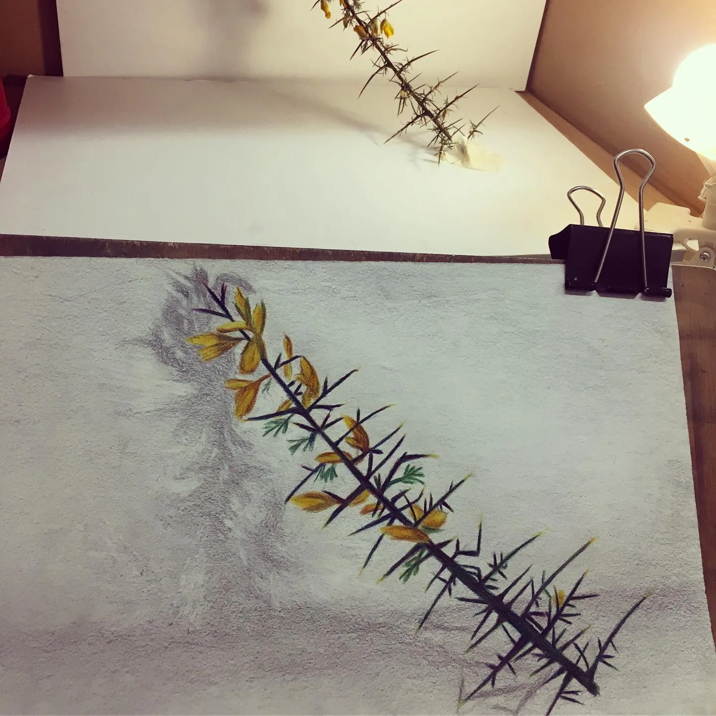 MAREIRAS ESPACIO DE ARTE - Fotografía 4