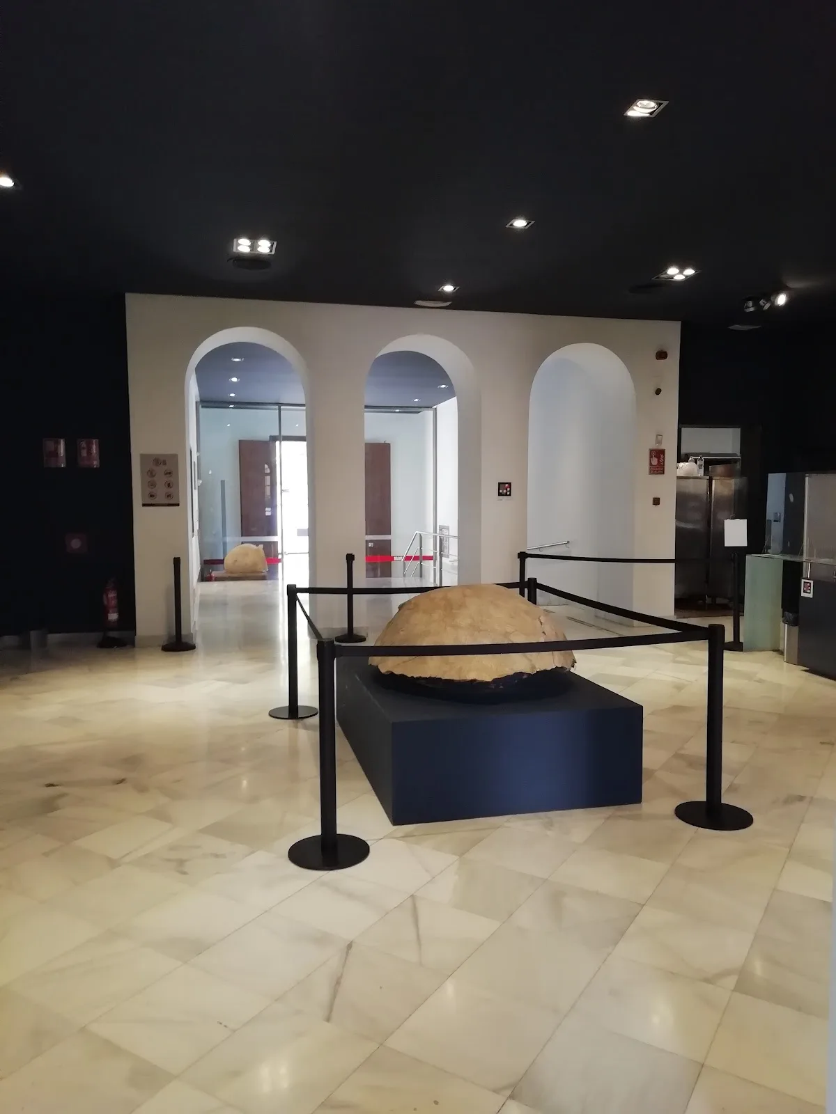 Museo Arqueológico de Murcia (MAM) - Fotografía 1