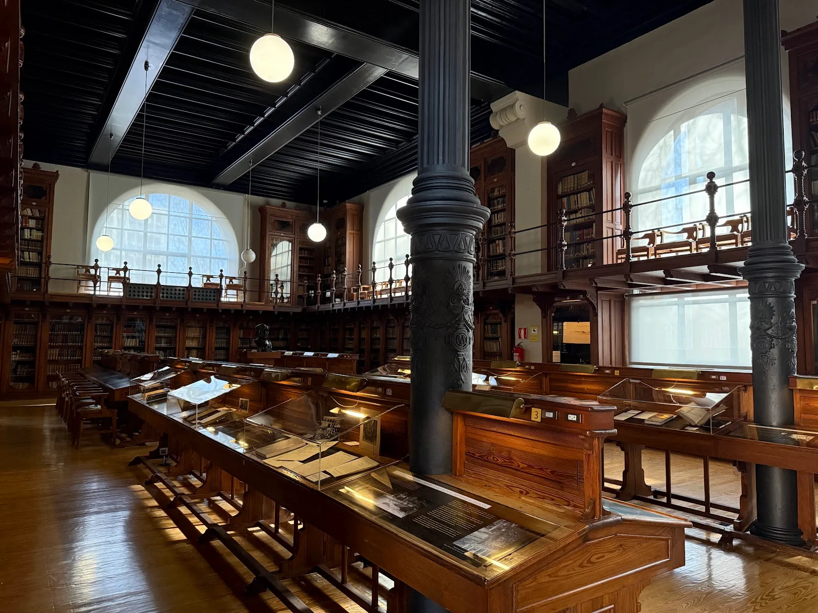 Museo de Ciencias Naturales de la Universidad Zaragoza - Fotografía 4