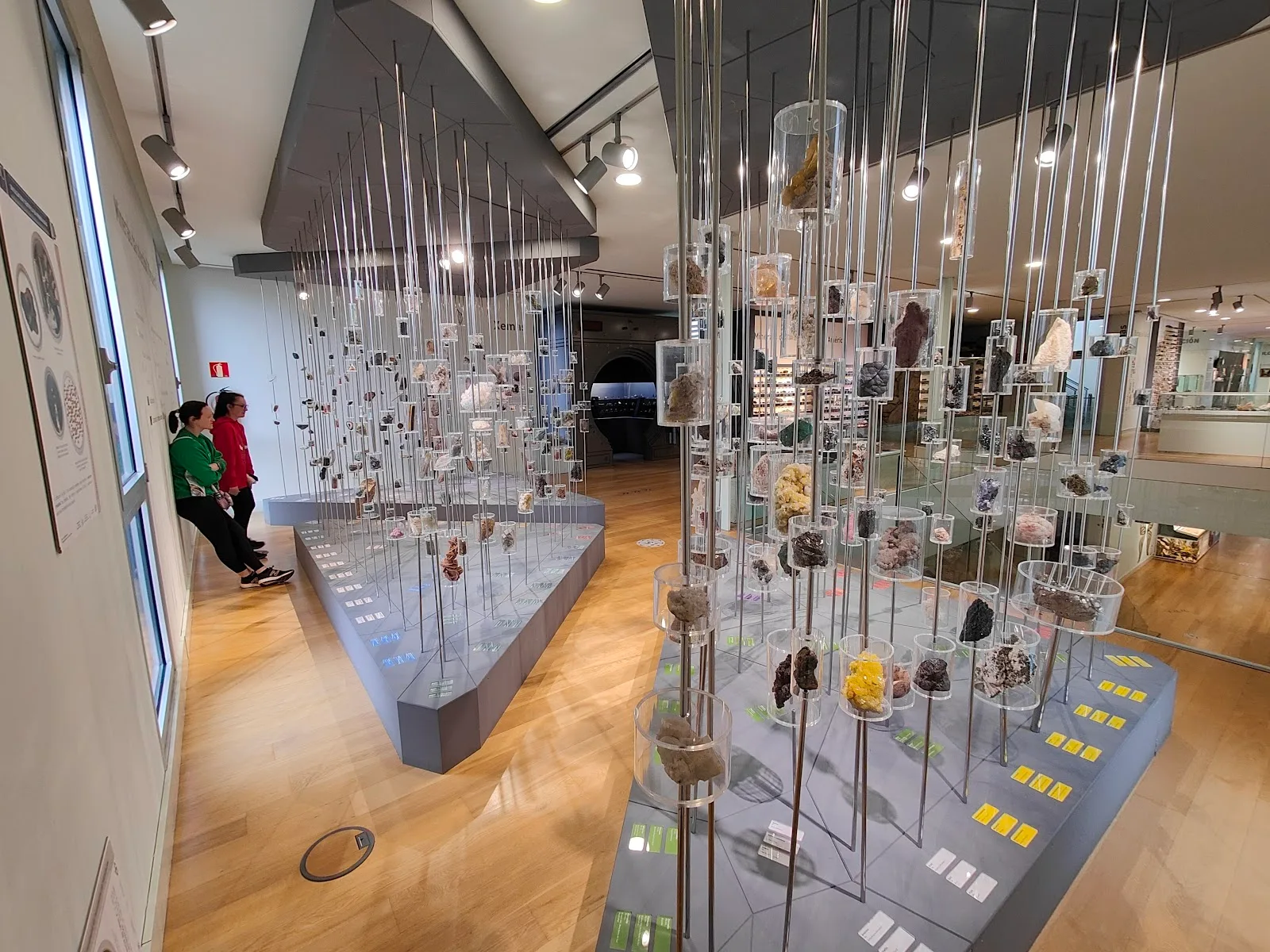 Museo de Historia Natural-USC - Fotografía 5