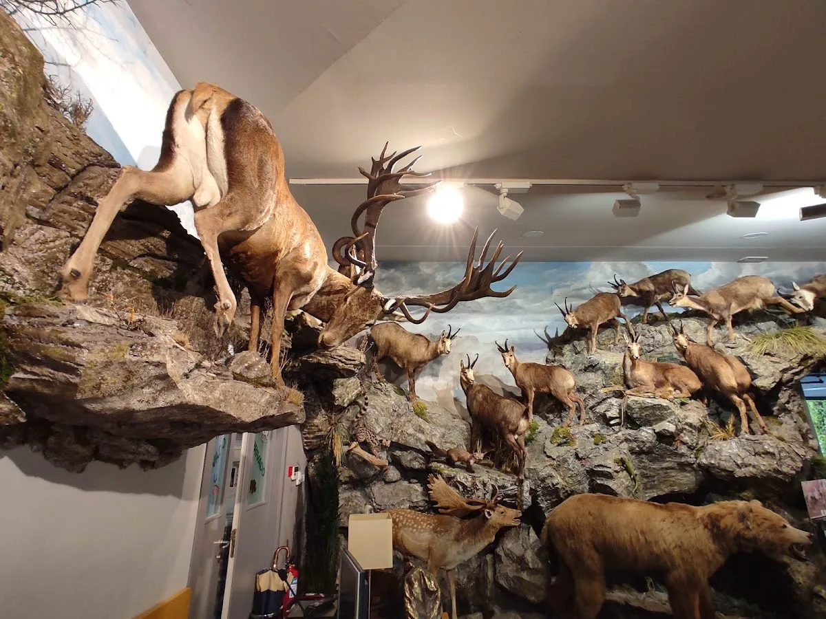 Museo de la Fauna Salvaje