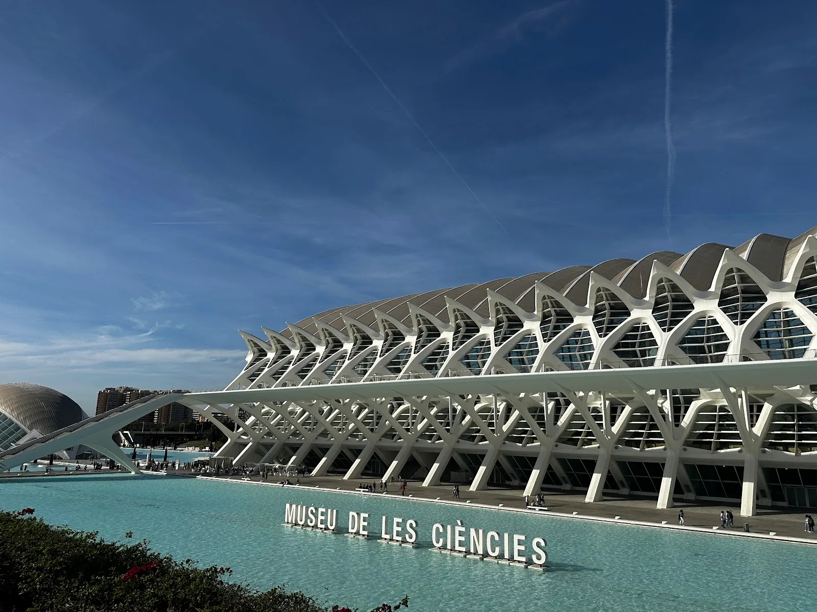 Museo de las Ciencias Príncipe Felipe - Fotografía 1