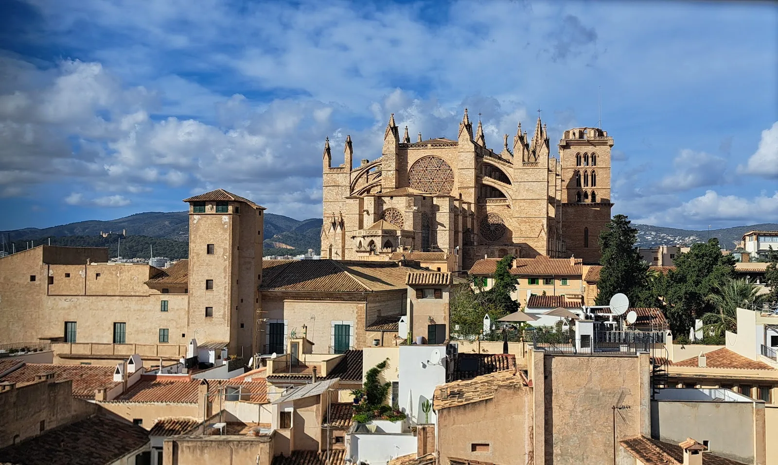 Museo de Mallorca - Fotografía 4