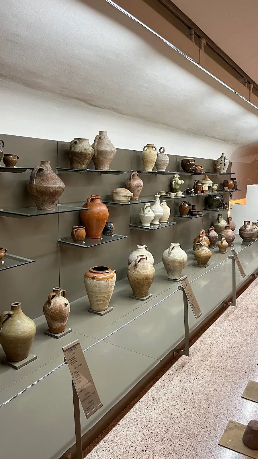 Museo de Zaragoza. Sección de Cerámica - Fotografía 1
