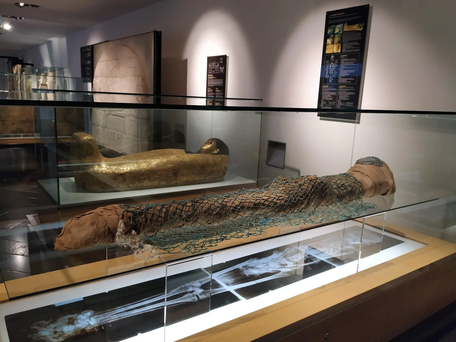 Museo Egipcio de Barcelona - Fotografía 1