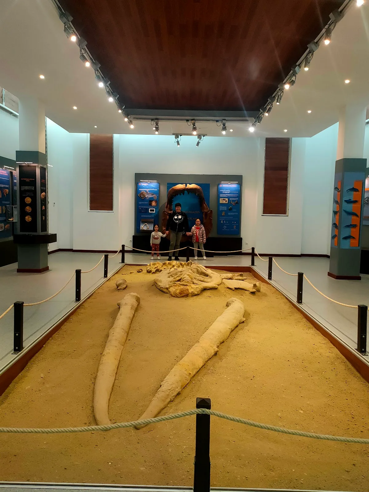 Museo Paleontológico de La Ballena