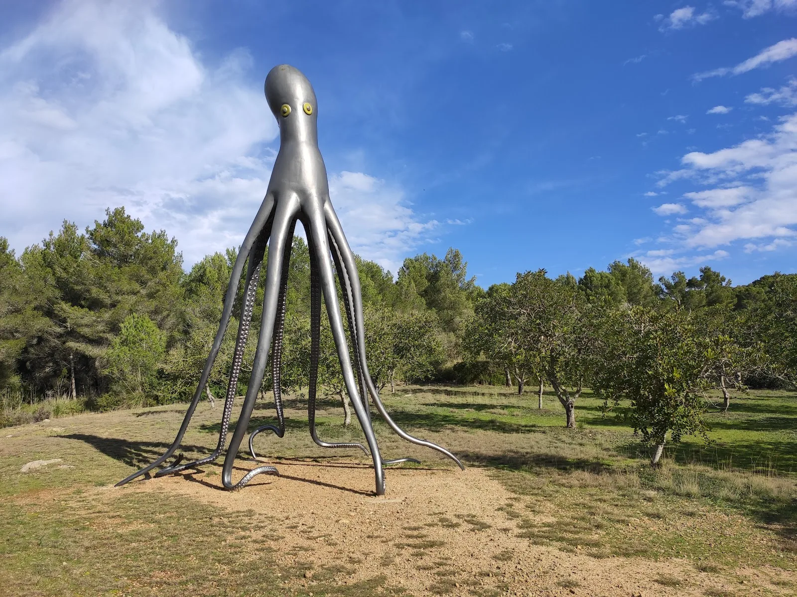 Museo Sa Bassa Blanca | Fundación Yannick y Ben Jakober - Fotografía 5