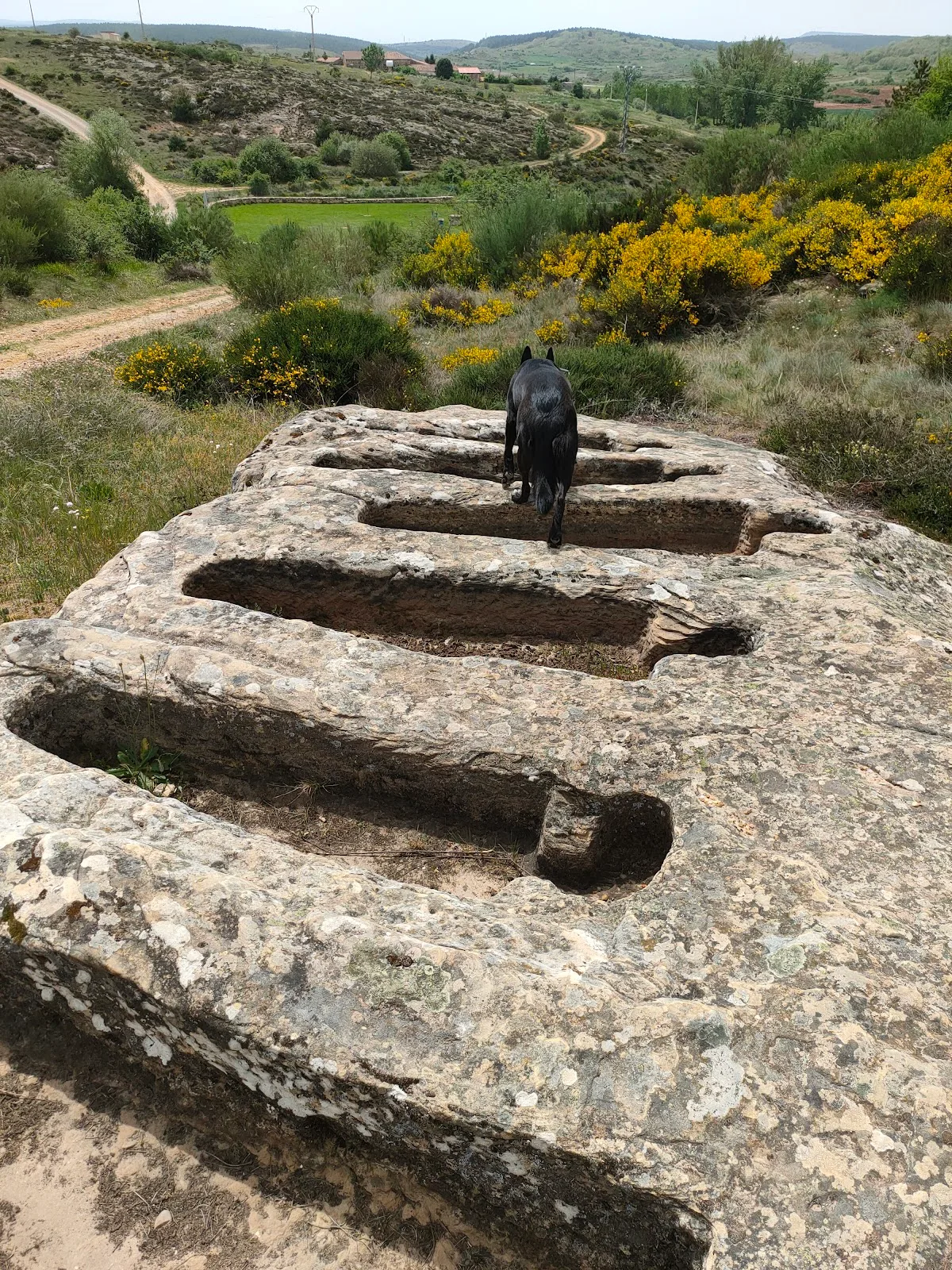 Necrópolis de Corvio
