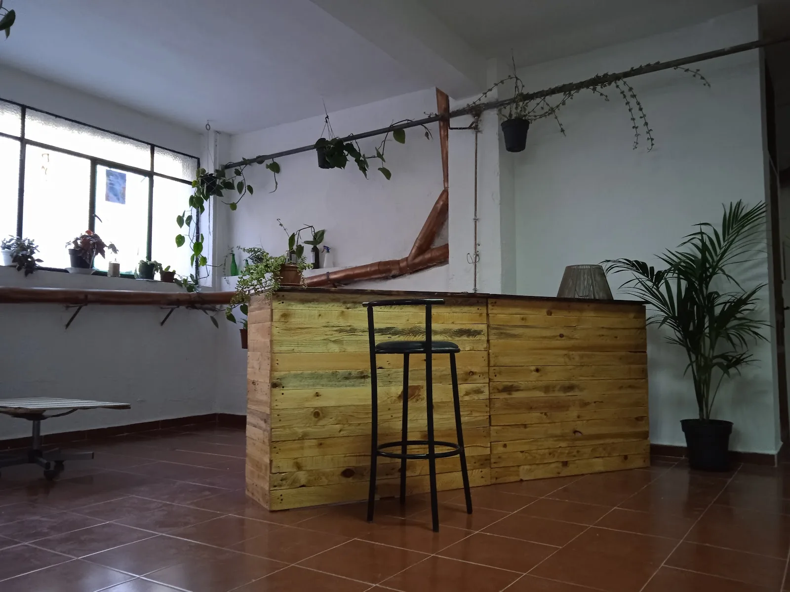 Proyecto Camaleón - Fotografía 2