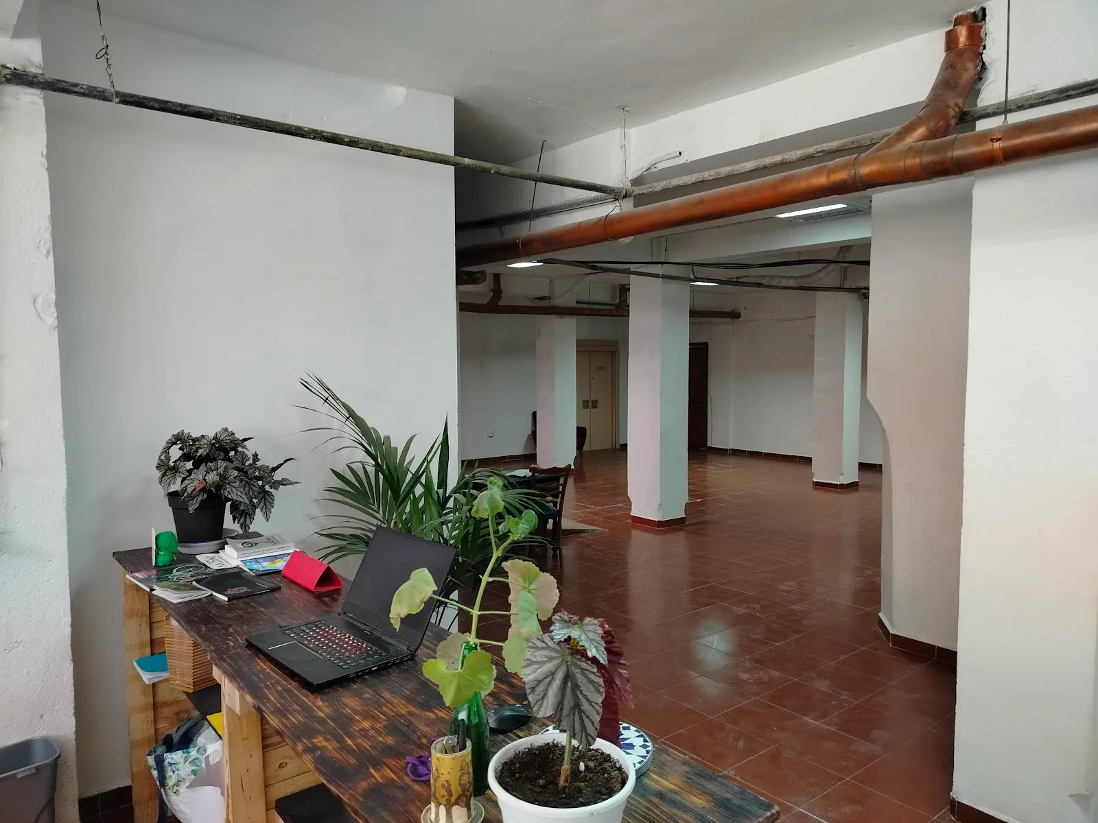 Proyecto Camaleón - Fotografía 4