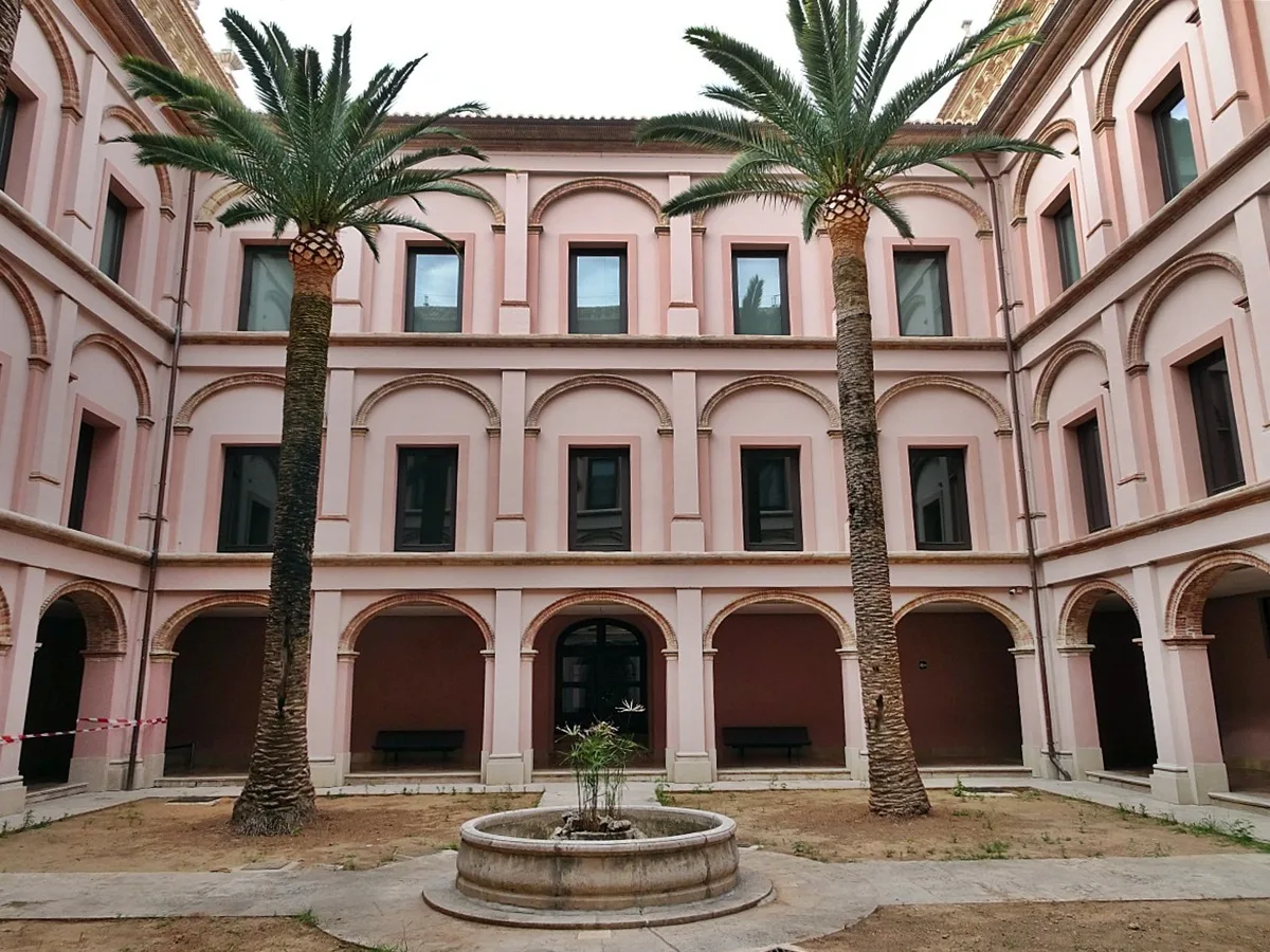 Real Academia de Bellas Artes de San Carlos - Fotografía 2