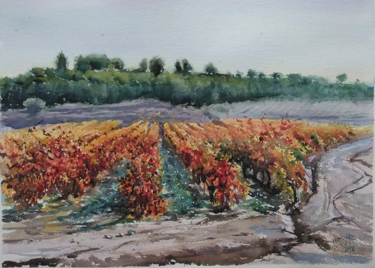 Vino y Color