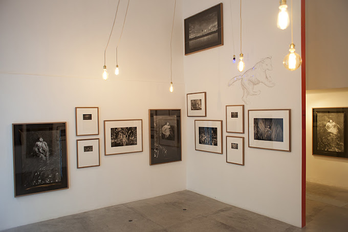 MONDO GALERIA