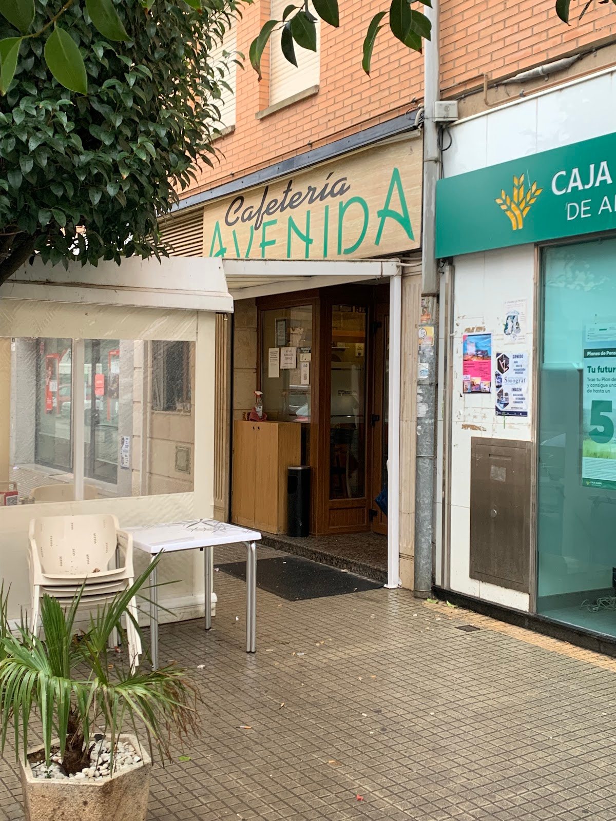 Cafetería Avenida Fuenmayor