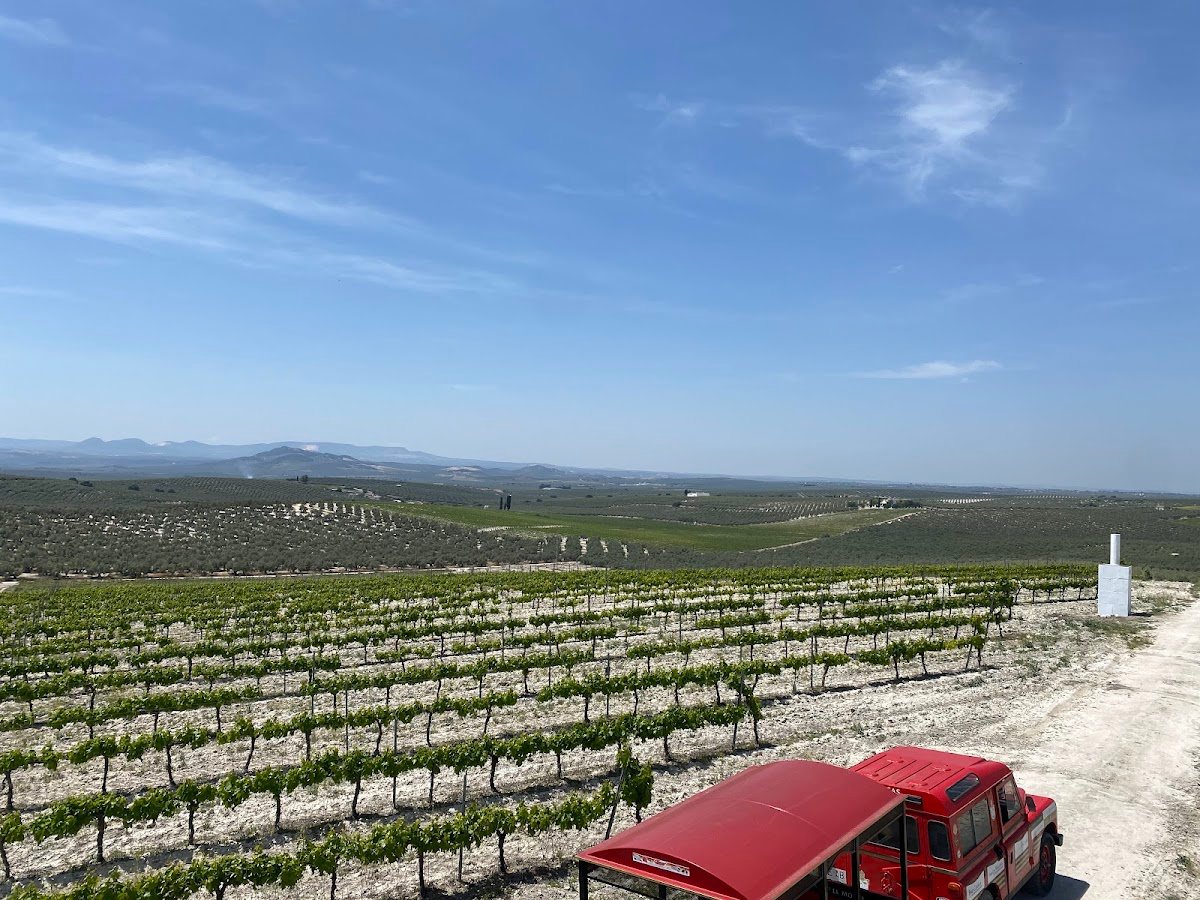 Centro De La Cultura Del Vino