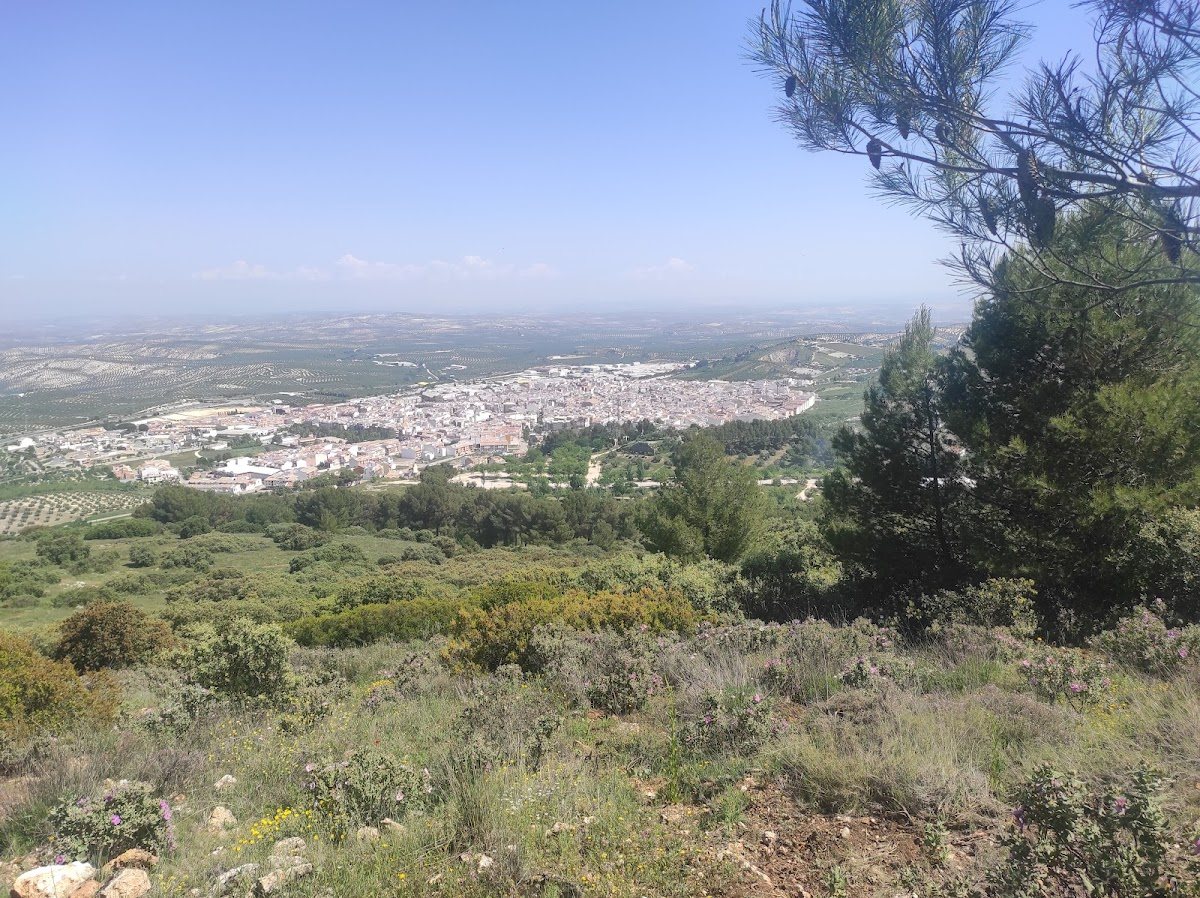 Cerro Miguelico