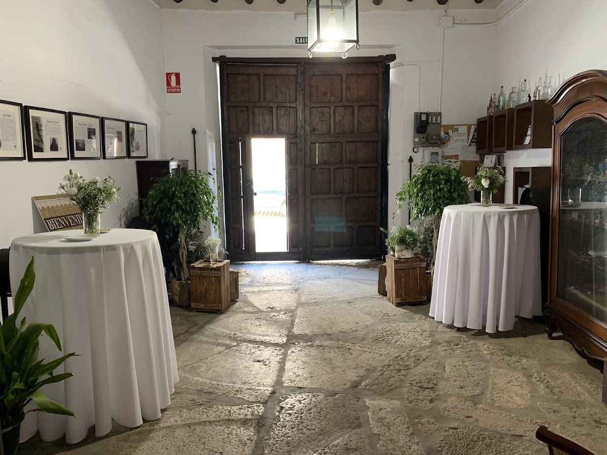 Museo Bodega El Alfoli