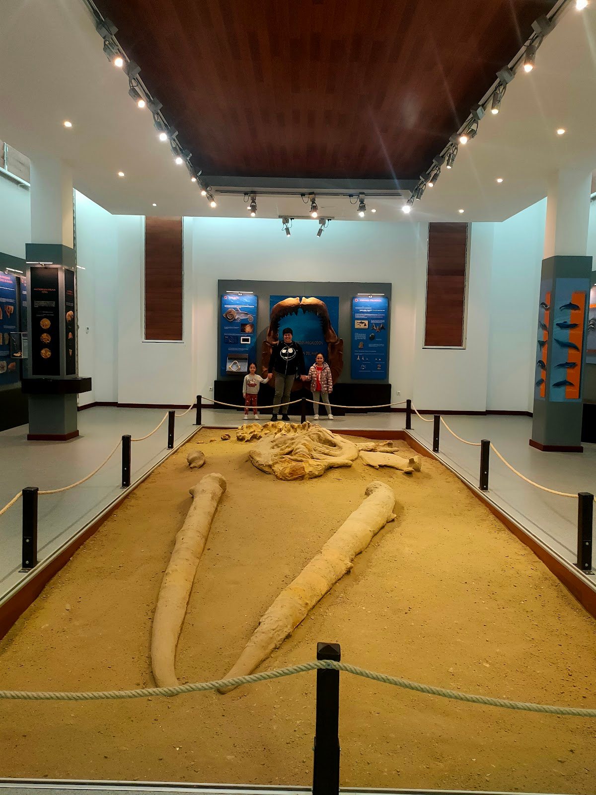 Museo Paleontológico de La Ballena