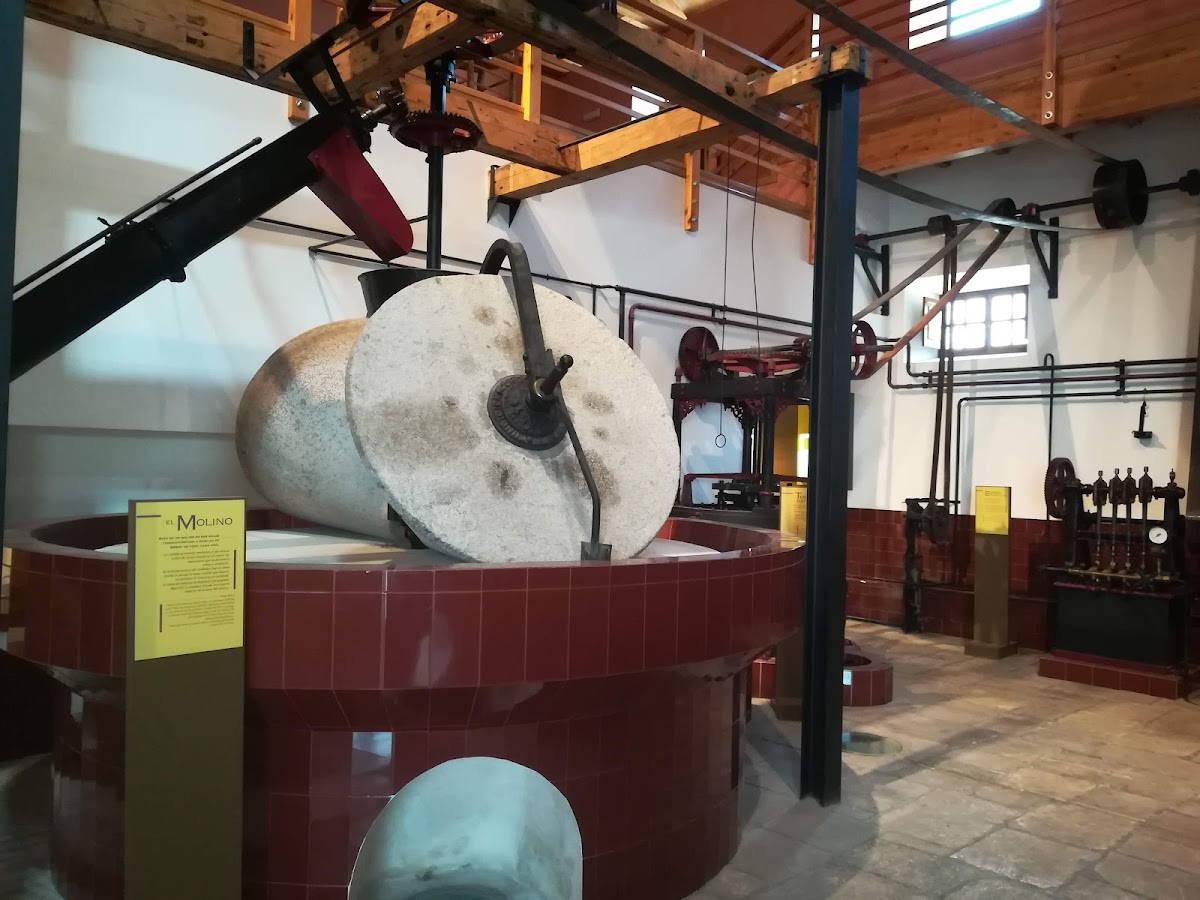 Museo del Olivar y del Aceite