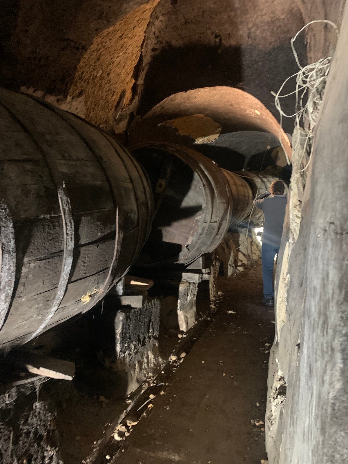 ABCD Asociación de Bodegas y Cuevas de Dueñas