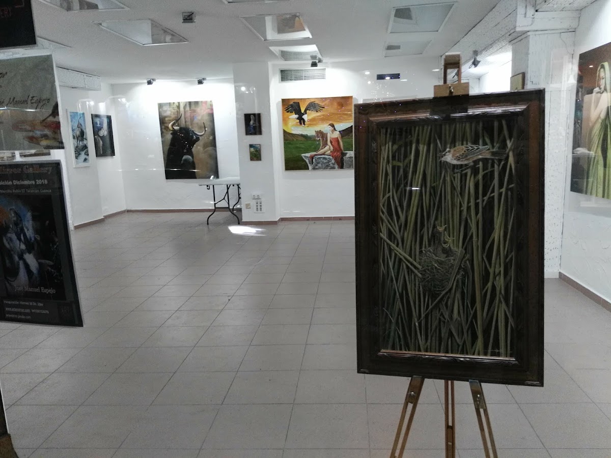 Art Mirror Gallery