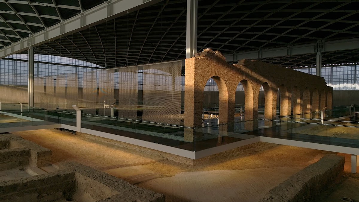 Museo de la Villa Romana La Olmeda