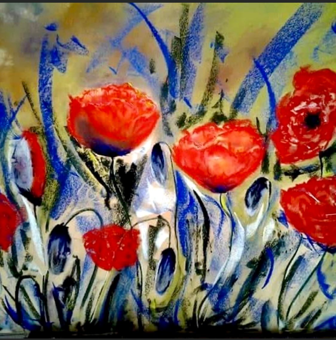 Coquelicots