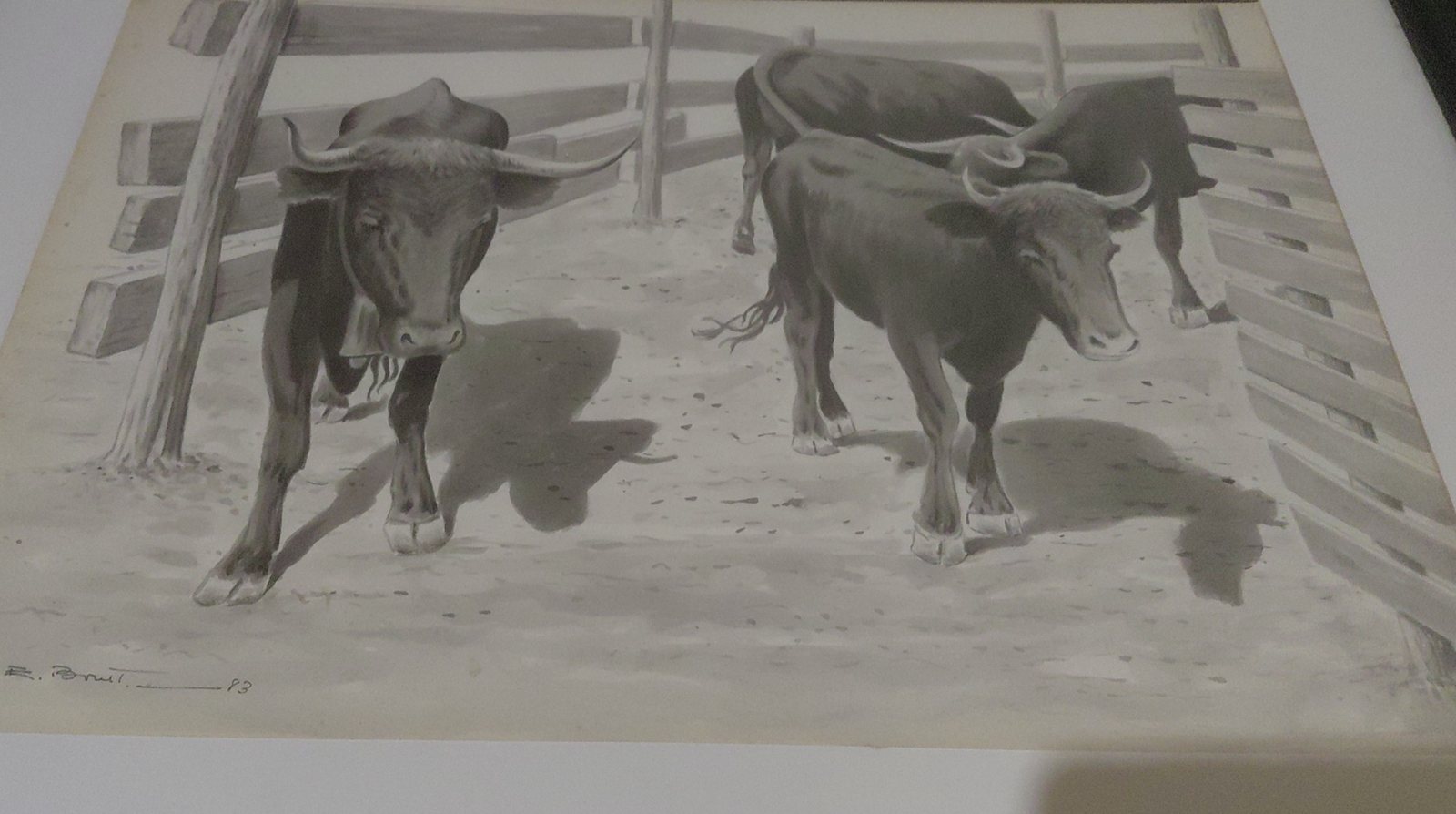 Ganadería toros